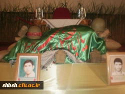 یادواره شهدا