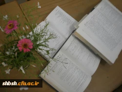 نمایی از کتابخانه پردیس  پردیس شهید باهنر