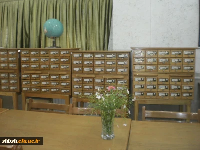 سیستم رده بندی