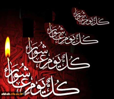 السلام علی الحسین وعلى علی بن الحسین وعلى أولاد الحسین وعلى أصحاب الحسین