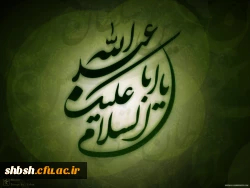 السلام علی الحسین وعلى علی بن الحسین وعلى أولاد الحسین وعلى أصحاب الحسین