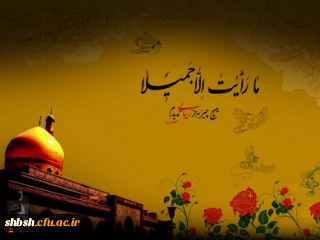 هیچ چیز بجز زیبایی ندیدم...