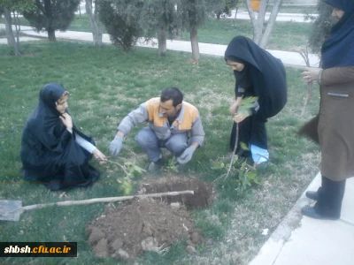 درختکاری در پردیس شهید باهنر به مناسبت روز درختکاری با همکاری تعدادی از دانشجویان