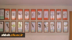 کلکسیون گیاهی به همت دانشجویان رشته زیست شناسی