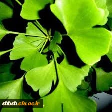 بازدید دانشجویان دبیری زیست شناسی از پژوهشکده معلم