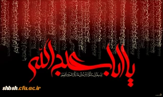 عالم همه محو گل رخسار حسین است ، ذرات جهان درعجب از کار حسین است . دانی که چرا خانه ی حق گشته سیه پوش ، یعنی که خدای تو عزادار حسین است