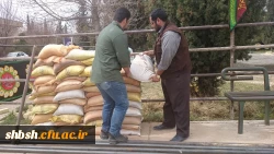 شهید گمنام سلام