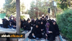 کوه پیمایی دانشجویان واساتید