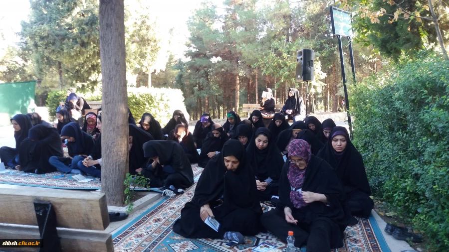 کوه پیمایی دانشجویان واساتید