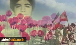 شهید فهمیده