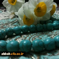 جشن آغاز امامت امام زمان (عج)