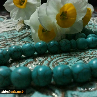 جشن آغاز امامت امام زمان (عج)