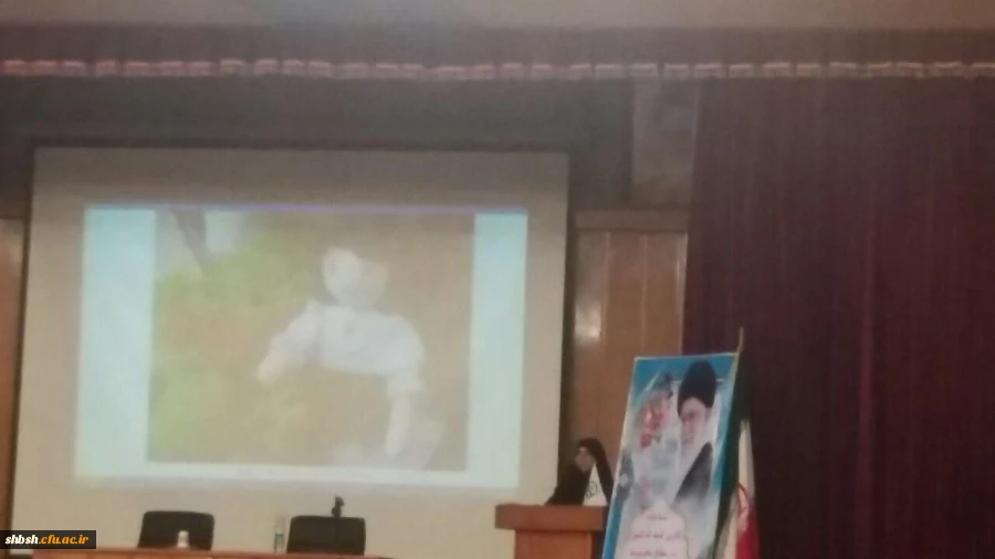 همایش استانی سبک زندگی باتکیه براقتصاد مقاومتی