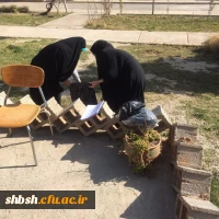 پاکسازی فضای دانشگاه درهفته منابع طبیعی