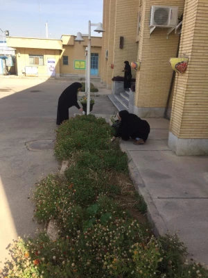 پاکسازی فضای دانشگاه درهفته منابع طبیعی