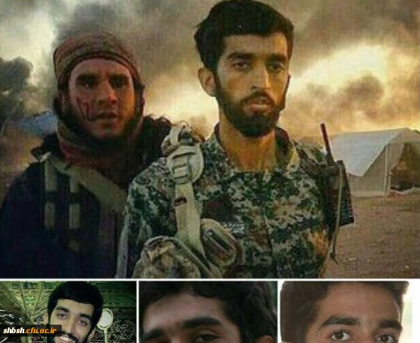 شهسد محسن درباغی