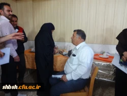 چکاپ همکاران پردیس شهید باهنر