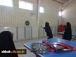 مسابقه ورزشی همکاران بمناسبت هفته دولت