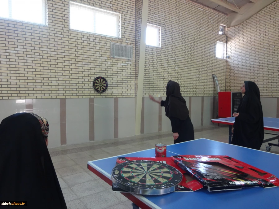 مسابقه ورزشی همکاران بمناسبت هفته دولت