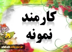 کارمند نمونه