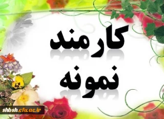 ویژگی های کارمند نمونه از دیدگاه کارمندان پردیس شهید باهنر فارس