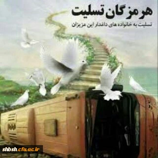 پیام تسلیت رئیس پردیس شهید باهنر فارس  به مناسبت جان باختن جمعی از دانش آموزان هرمزگانی در حادثه واژگونی اتوبوس