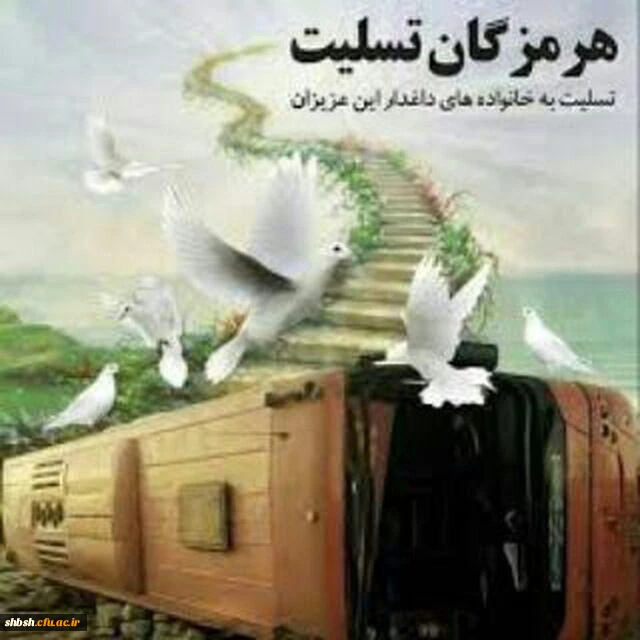 پیام تسلیت ریاست پردیس شهید باهنر فارس بمناسبت  جان باختن جمعی از دانش آموزان هرمزگانی در حادثه واژگونی اتوبوس