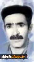 شهید محمدی