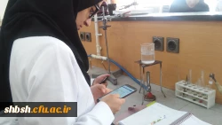 اتخابات شورای صنفی