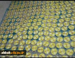 مراسم شهادت حضرت رقیه سلام الله علیها