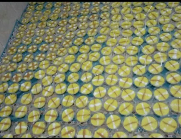 مراسم شهادت حضرت رقیه سلام الله علیها