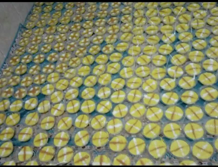 مراسم شهادت حضرت رقیه سلام الله علیها