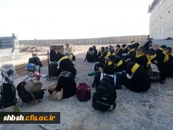 حضور دانشجویان پردیس شهید باهنر در راهپیمایی اربعین