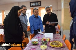 جشنواره الگوی غذای سالم