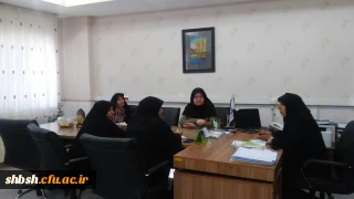 کمیته اجرایی برگزاری مرحله استانی بیست و نهمین جشنواره فر هنگی هنری، تشکیل جلسه داد