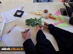 برگزاری کارگاه آموزش علوم با رویکرد کاوشگری(IBSE)