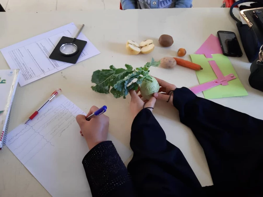 برگزاری کارگاه آموزش علوم با رویکرد کاوشگری(IBSE)