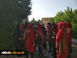 دومین روز برگزاری بیست و نهمین جشنواره فرهنگی دانشجومعلمان دانشگاه فرهنگیان بخش هنرهای گروهی تئاتر و سرود