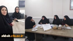 تشکیل کمیته هفته بهداشت روان