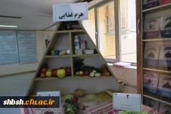 برگزاری جشنواره غذای سالم 7