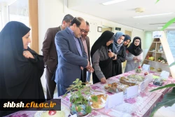 برگزاری جشنواره غذای سالم 14