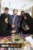 برگزاری جشنواره غذای سالم 16