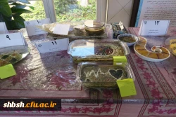 برگزاری جشنواره غذای سالم 19