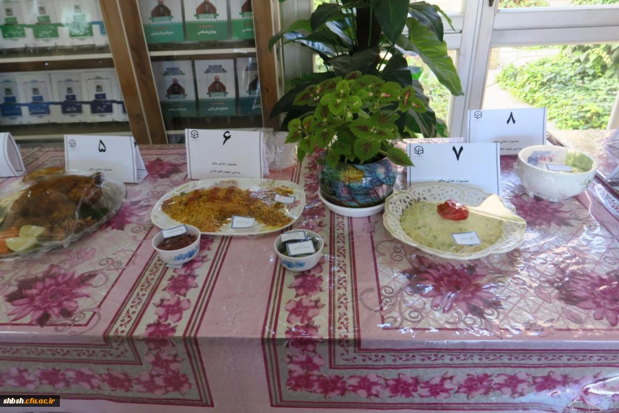 برگزاری جشنواره غذای سالم 22