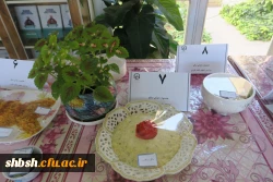 برگزاری جشنواره غذای سالم 23