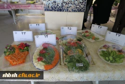 برگزاری جشنواره غذای سالم 29