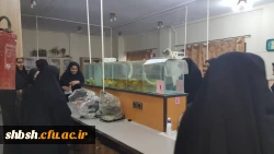 باز دید دانش آموزان دبیرستان معارف از پردیس شهید باهنر 7