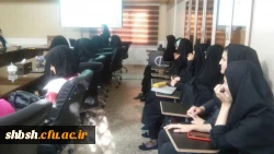 برگزاری کارگاه آموزشی آشنایی با دیابت و راه های پیشگیری از آن 4