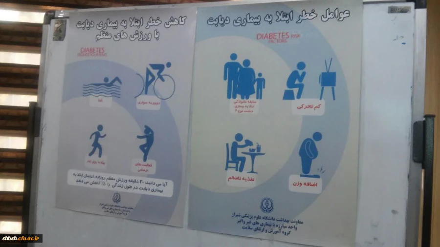برگزاری کارگاه آموزشی آشنایی با دیابت و راه های پیشگیری از آن 6