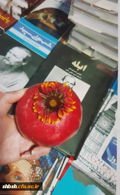 دانشجومعلم سیده مریم میر هاشمی منتخب مسابقه عکاسی ( هفته کتاب)